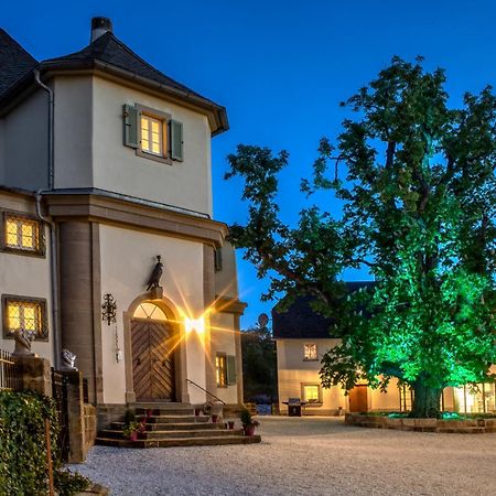Schloss Falkenhaus 巴特贝内克因费希特 外观 照片